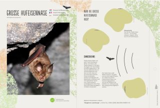 Steckbriefe für einheimische Tierarten