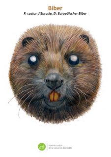 Masken für einheimische Tierarten