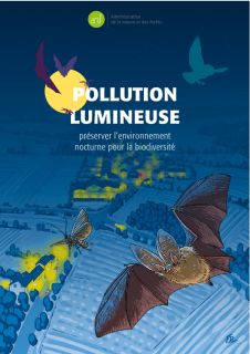 Pollution lumineuse
