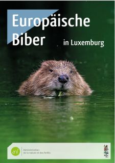 Europäische Biber