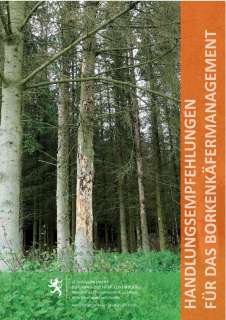 Handlungsempfehlungen für das Borkenkäfermanagement